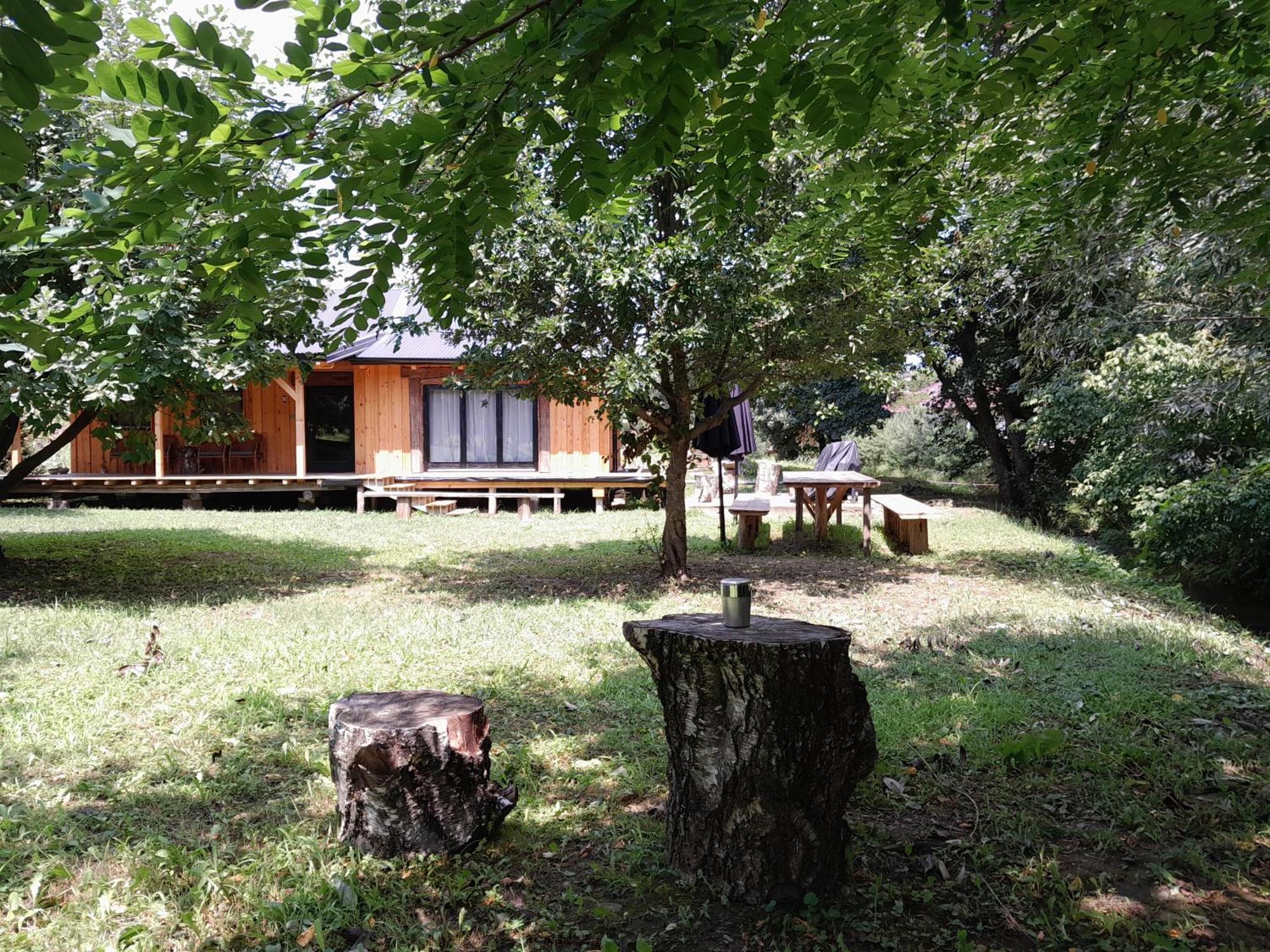 Nica Wood Villa Sremska Kamenica Ngoại thất bức ảnh